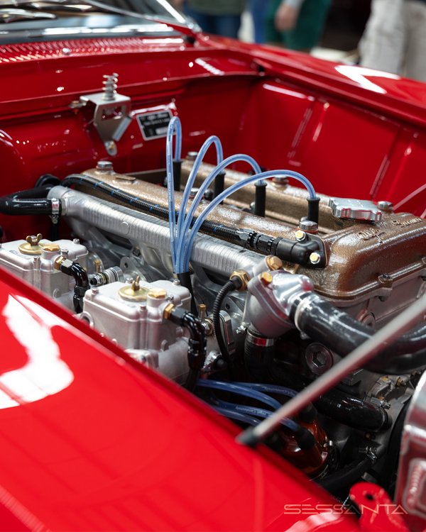 RED VEHICLE ENGINE TUBES